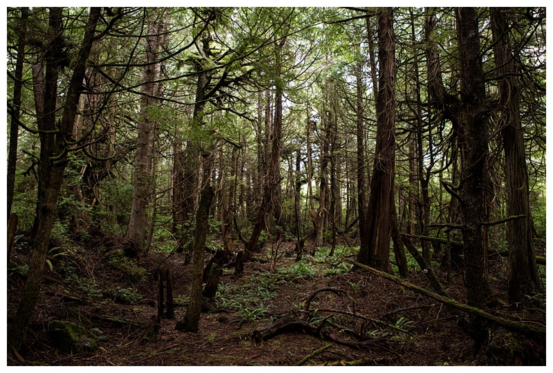 2016-07-10_0018 Washington, The Evergreen State.