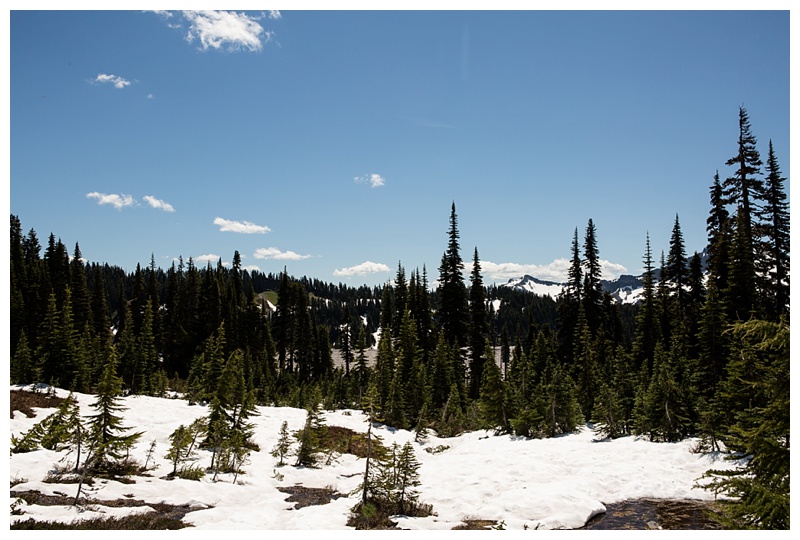 2016-07-10_0031 Washington, The Evergreen State.