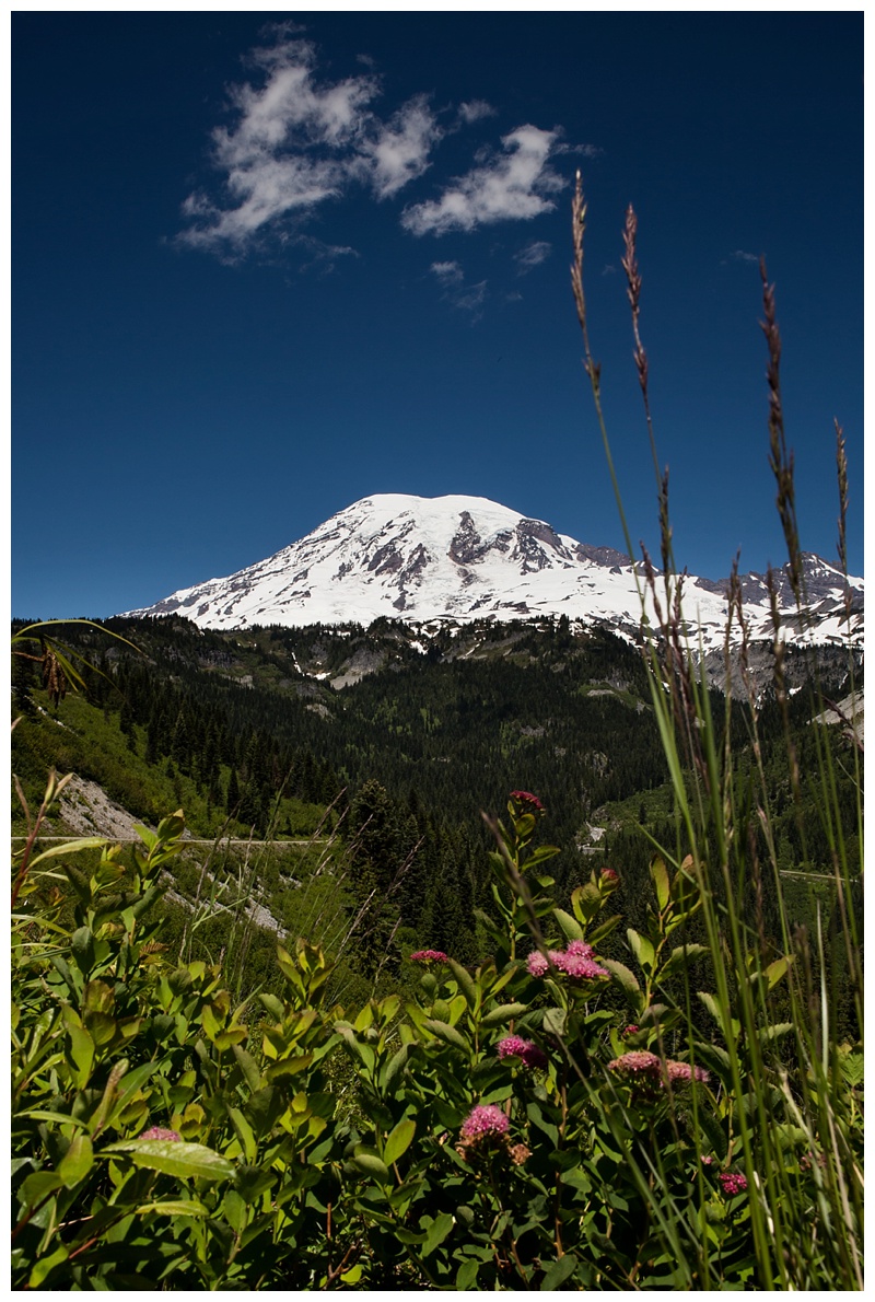 2016-07-10_0033 Washington, The Evergreen State.