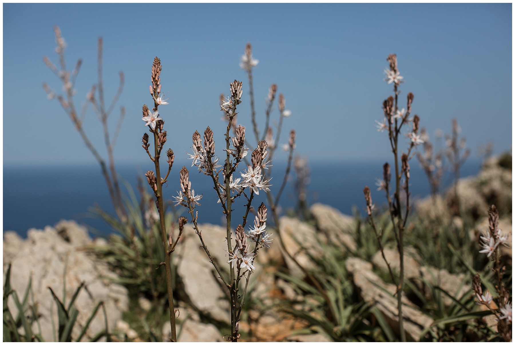 2018-06-18_0008 Magnificent Majorca