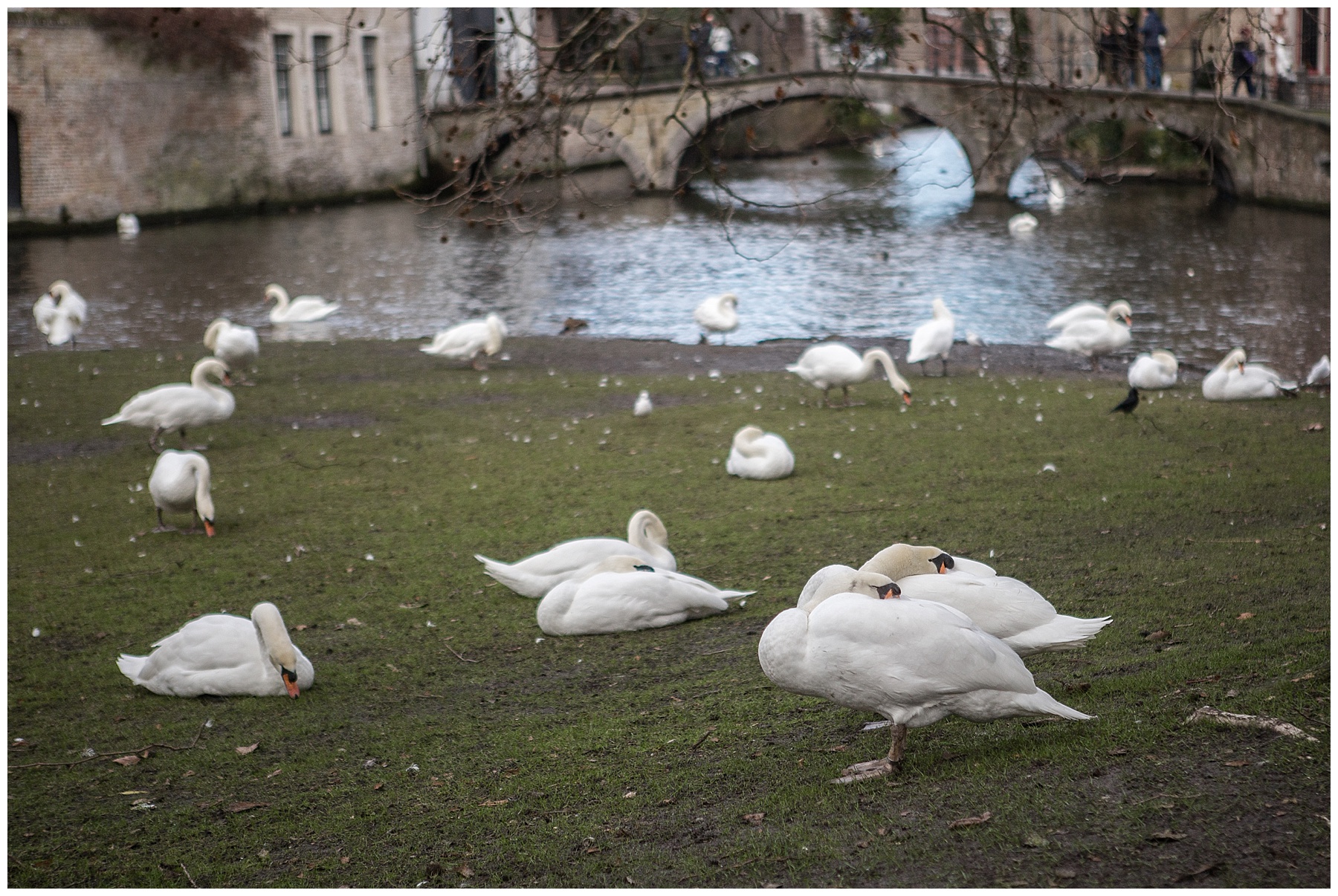 2019-03-03_0035 Honeymooning - Amsterdam & Brugge