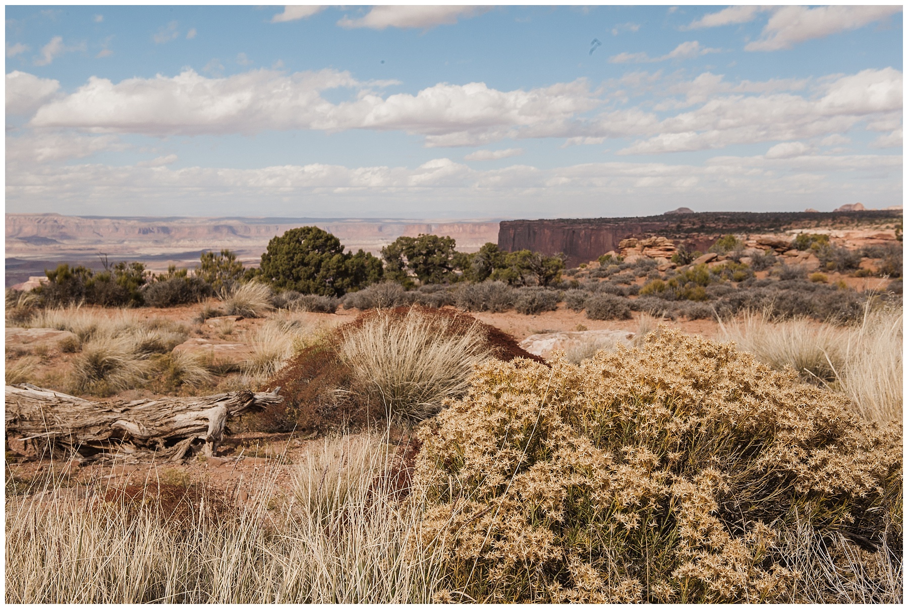 2019-08-03_0026 Canyonlands National Park